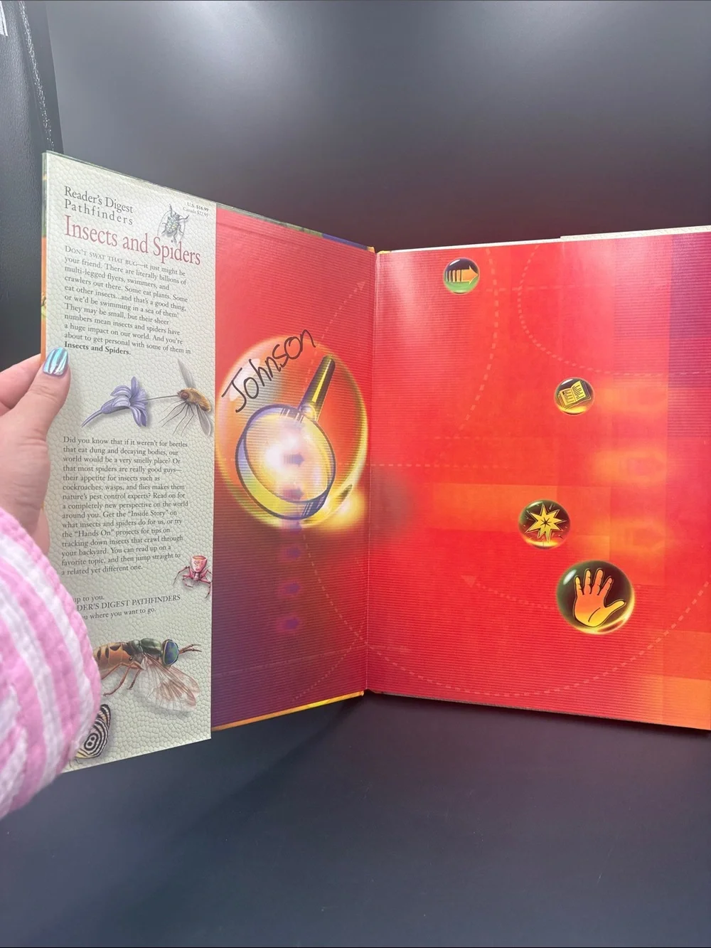 Reader's Digest Pathfinders Insects and Spiders hardcover book